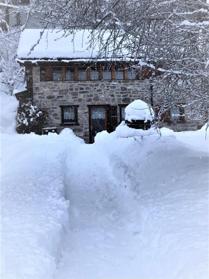 A L'Oree Du Bisse Anzère Exterior foto